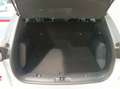 Ford Kuga 1.5 ecoboost ST-Line 150cv Bianco - thumbnail 10