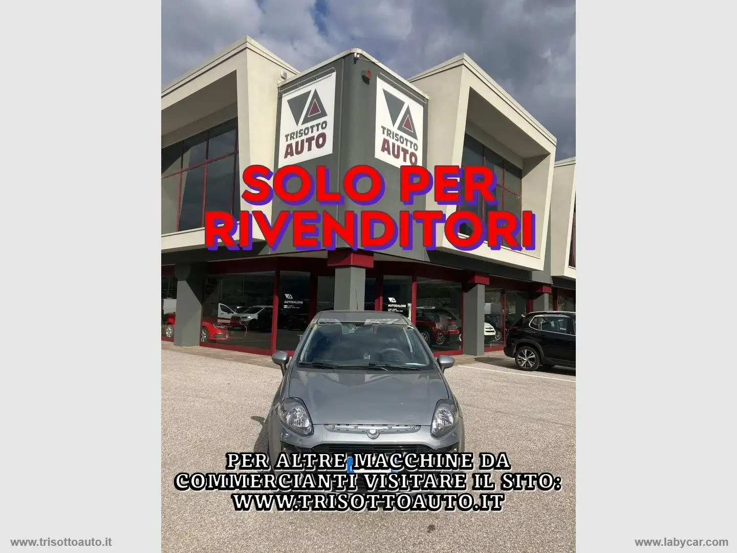 Fiat Punto Evo 1.3 Mjt 75 CV 5p. S&S Active Grau - 1