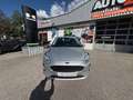 Ford Fiesta v 1.0 ecoboost 100 s&s 5cv business nav 5p Gris - thumbnail 18