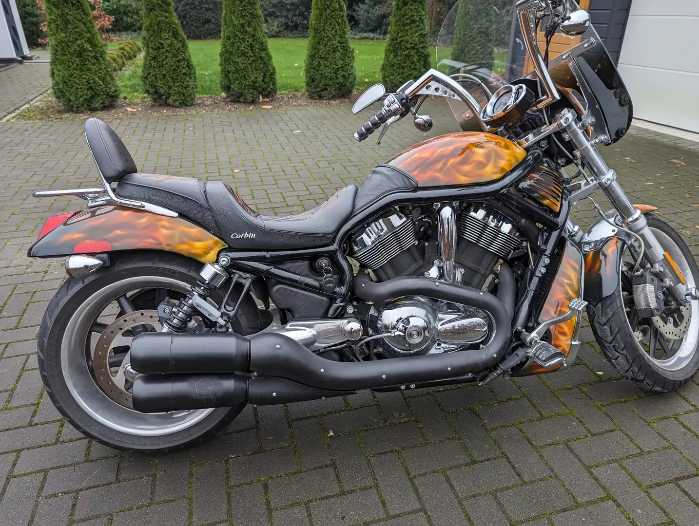 Harley-Davidson V-Rod Night rod Brąz - 2