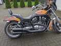Harley-Davidson V-Rod Night rod Bronze - thumbnail 4