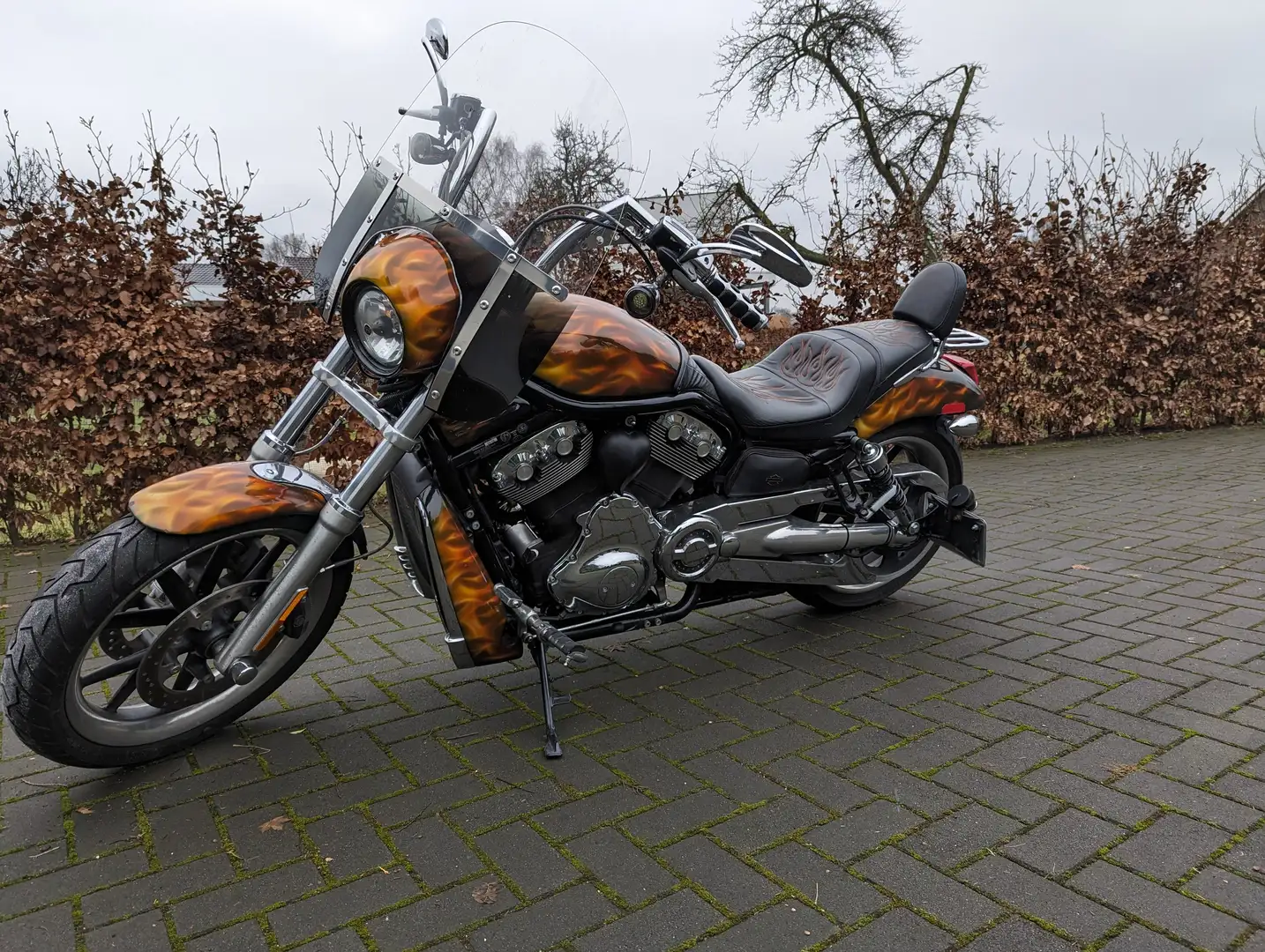 Harley-Davidson V-Rod Night rod Bronce - 1