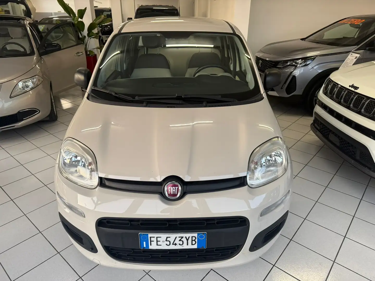 Fiat New Panda Panda 1.2 Easy 69cv E6 Alb - 2
