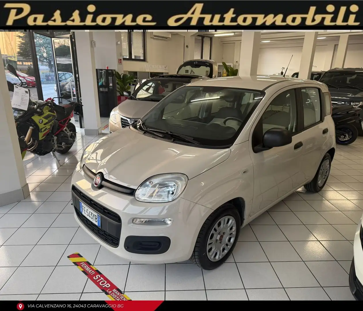 Fiat New Panda Panda 1.2 Easy 69cv E6 Alb - 1