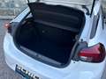 Opel Corsa 1,2 Edition 55KW, Benzin 75 PS, 5-türig, Manuell Weiß - thumbnail 9