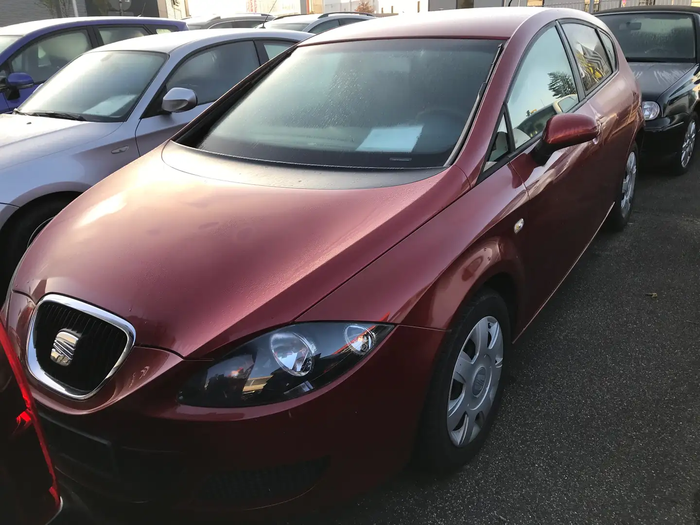 SEAT Leon 1.6 Reference Rouge - 2