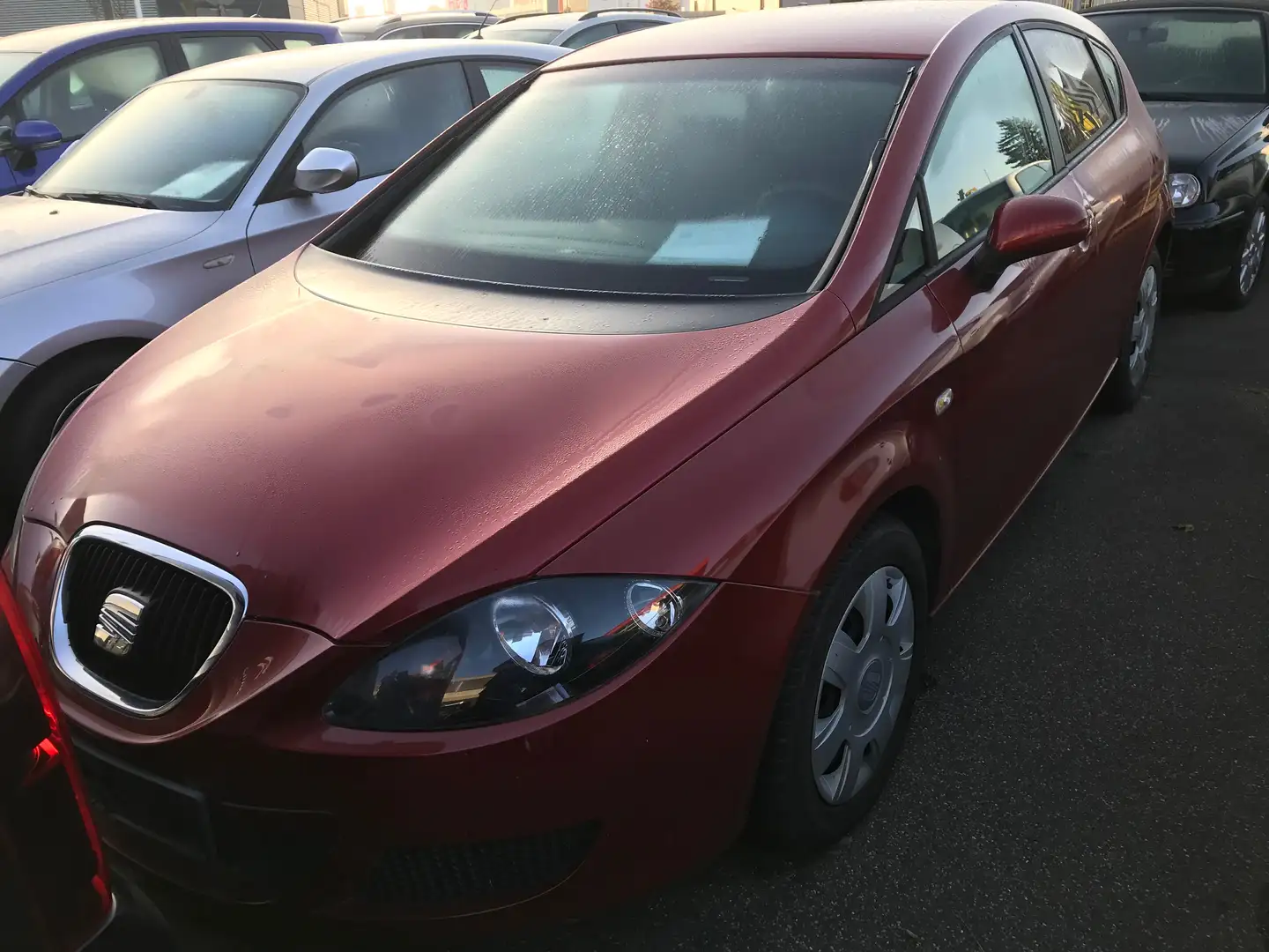 SEAT Leon 1.6 Reference Rouge - 1