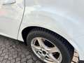 Ford Focus Sb.1.0 Ecoboost Auto-S&S Trend - thumbnail 6