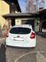 Ford Focus Sb.1.0 Ecoboost Auto-S&S Trend - thumbnail 3
