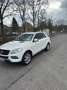 Mercedes-Benz ML 250 BlueTEC 4MATIC 7G-TRONIC - thumbnail 5