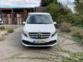 Mercedes-Benz Marco Polo 250d  4Matic *AHK *Aufst.D *AUT *Standh Wit - thumbnail 5