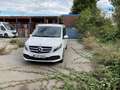 Mercedes-Benz Marco Polo 250d  4Matic *AHK *Aufst.D *AUT *Standh Wit - thumbnail 11