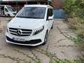 Mercedes-Benz Marco Polo 250d  4Matic *AHK *Aufst.D *AUT *Standh Wit - thumbnail 13