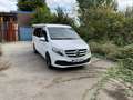 Mercedes-Benz Marco Polo 250d  4Matic *AHK *Aufst.D *AUT *Standh Wit - thumbnail 4