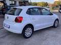 Volkswagen Polo 1.2 70 CV 5p. Comfortline Bianco - thumbnail 4