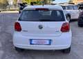 Volkswagen Polo 1.2 70 CV 5p. Comfortline Bianco - thumbnail 5