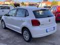 Volkswagen Polo 1.2 70 CV 5p. Comfortline Bianco - thumbnail 6