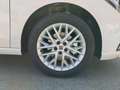 SEAT Ibiza 1.0 TSI S&S Special Edition 115 Blanco - thumbnail 8