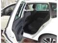Volkswagen Golf Sportsvan VII 1.0TSI United Pano/Kamera/AHK/ACC/Navi/App-Con Weiß - thumbnail 12