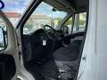 Fiat Ducato Ch.Cb.33 2.3Mjt LPEGR Corto 95kW Blanc - thumbnail 5