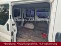 Opel Vivaro Kasten/Kombi Kombi L1H1 2,9t Blanc - thumbnail 13