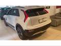 Kia Niro EV 64,8 kWh Evolution Bianco - thumbnail 5
