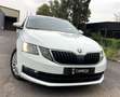 Skoda Octavia SW 1.5 TSI Ambition DSG/KEYLESS/CAMERA/NAVI/CRUISE Wit - thumbnail 5