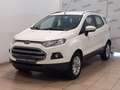 Ford EcoSport 1.0 EcoBoost 125 CV Business Wit - thumbnail 1