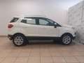 Ford EcoSport 1.0 EcoBoost 125 CV Business Wit - thumbnail 9