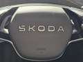 Skoda Elroq Selection Grau - thumbnail 15