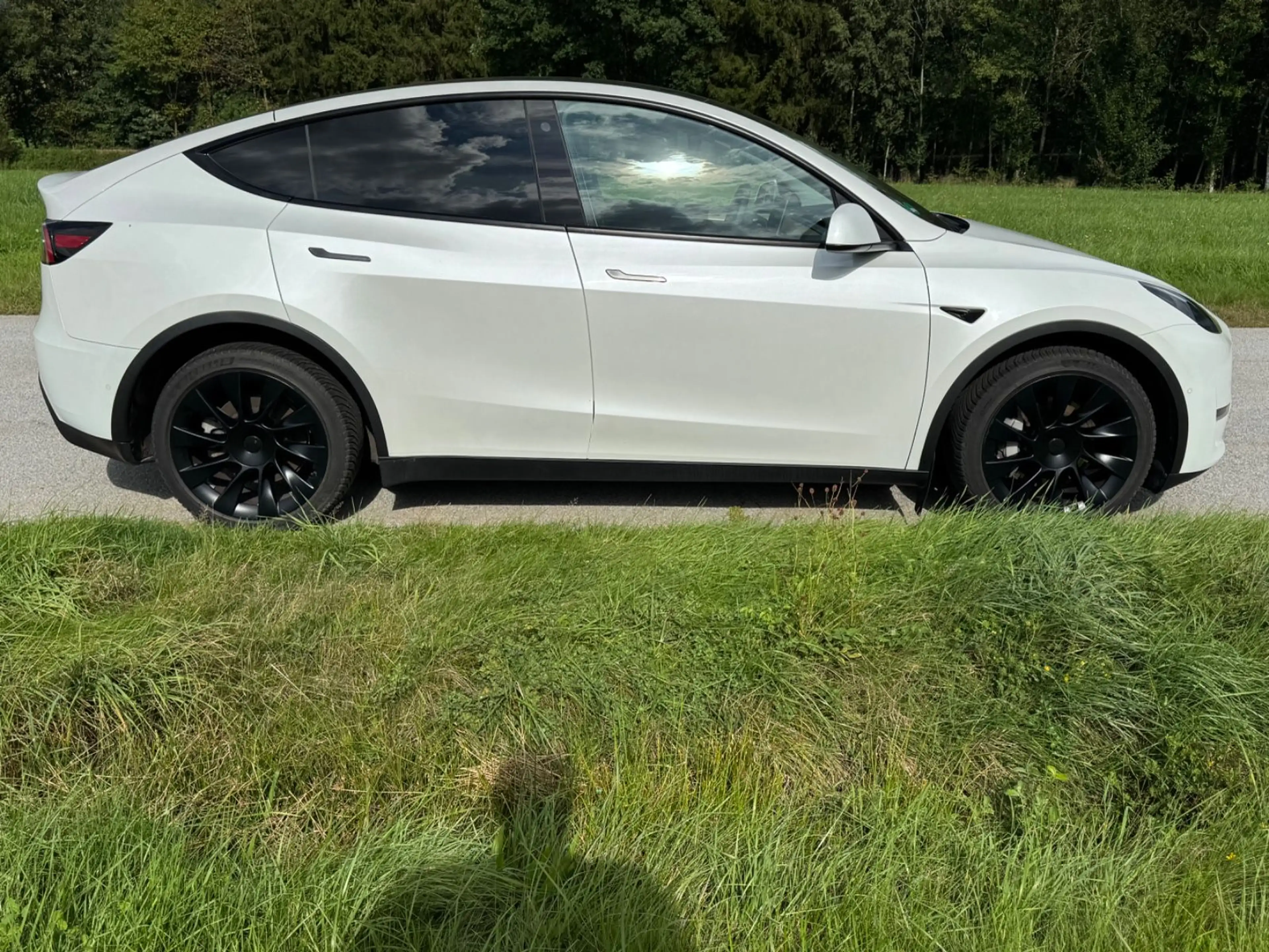 Tesla Model Y Long Range Dual AWD ALLRAD 20" AHK MWST. — photo 6