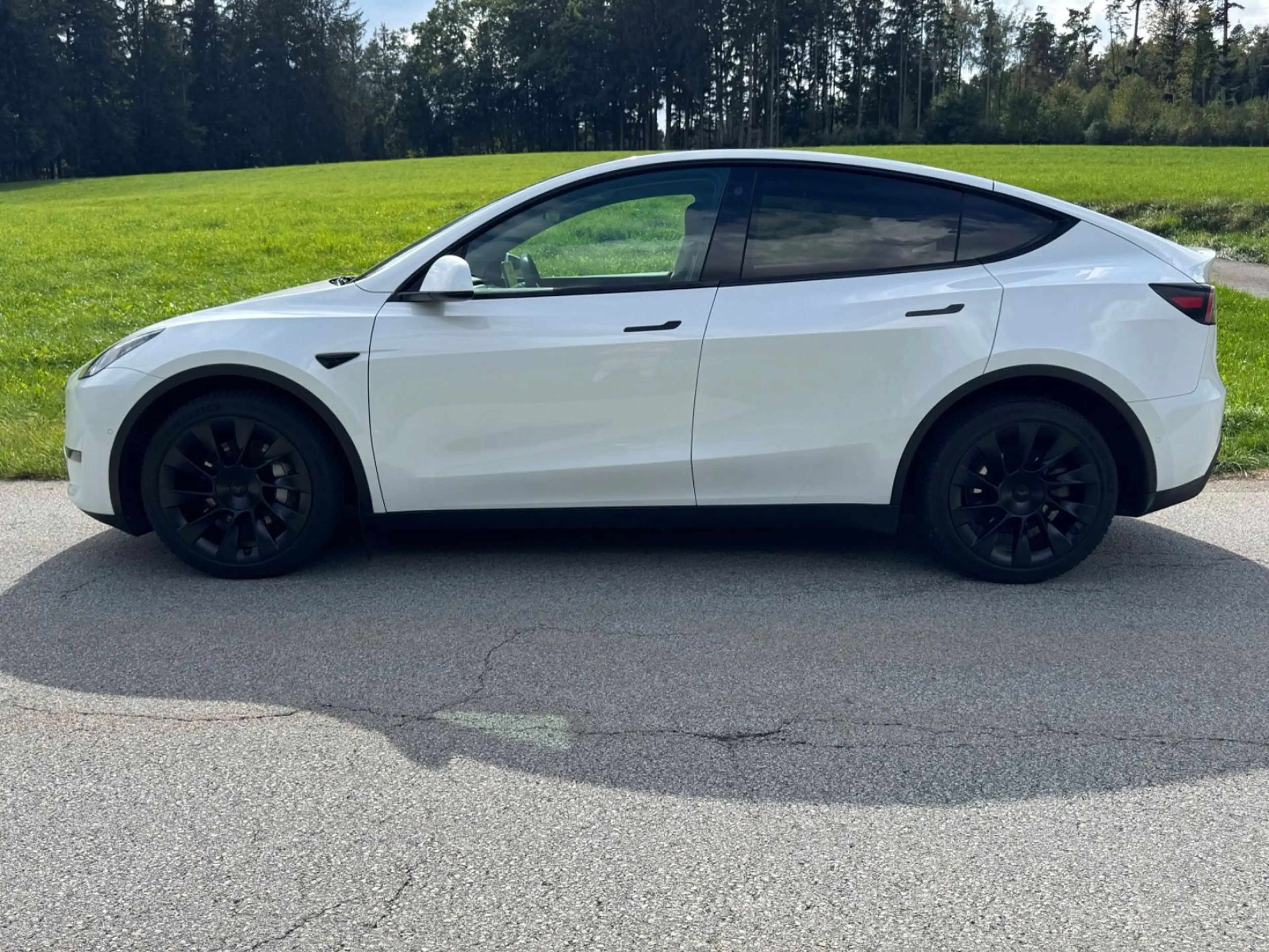 Tesla Model Y Long Range Dual AWD ALLRAD 20" AHK MWST. — photo 2