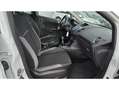 Ford Fiesta Edition 1.0 SCTi EcoBoost 100cv Blanc - thumbnail 13