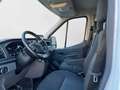 Ford Transit FT 310 L2 Van Trend 125 Blanco - thumbnail 9