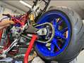 Ducati 749 Replica FILA - Restaurata Червоний - thumbnail 11