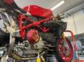 Ducati 749 Replica FILA - Restaurata Червоний - thumbnail 9