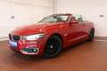 BMW 420 Luxury Line LED Navi Leder Cabrio Kırmızı - thumbnail 2