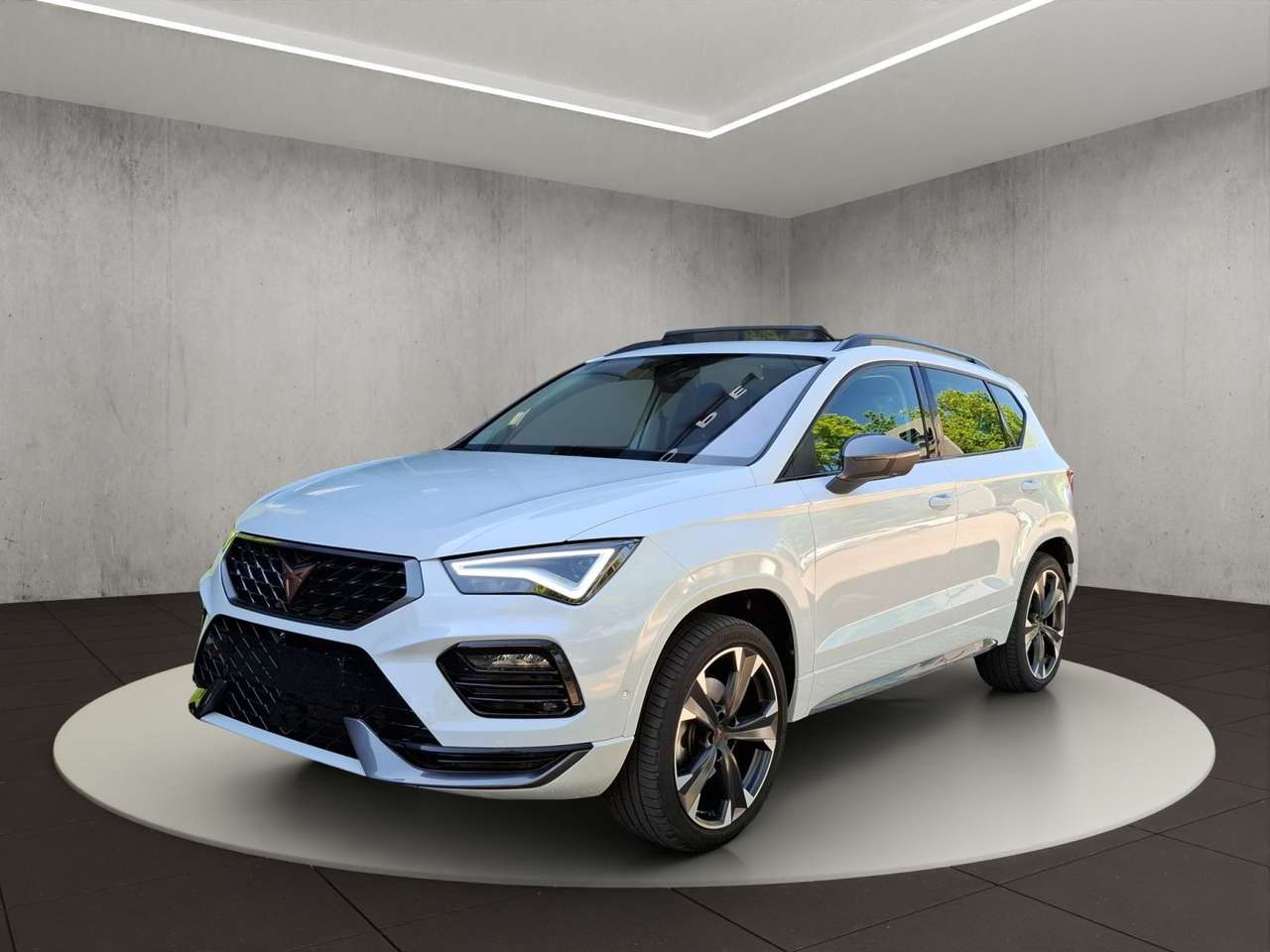 Cupra Ateca — Cupra Ateca Cupra Ateca Allrad, Beats, 360°, Totwinkel