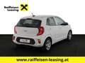 Kia Picanto 1,0 MPI Titan Weiß - thumbnail 3