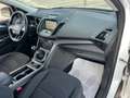 Ford Kuga 1.5 TDCI 120 CV S&S 2WD Titanium*Navi*Apple Car Pl Blanc - thumbnail 15