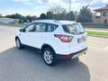 Ford Kuga 1.5 TDCI 120 CV S&S 2WD Titanium*Navi*Apple Car Pl Blanc - thumbnail 6