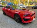 Ford Mustang USA 3.7 V6 GT, Shelby Uitvoering, Nw. Staat Rouge - thumbnail 7