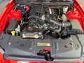 Ford Mustang USA 3.7 V6 GT, Shelby Uitvoering, Nw. Staat Rouge - thumbnail 23