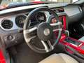 Ford Mustang USA 3.7 V6 GT, Shelby Uitvoering, Nw. Staat Rouge - thumbnail 12