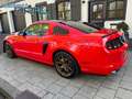 Ford Mustang USA 3.7 V6 GT, Shelby Uitvoering, Nw. Staat Rouge - thumbnail 4