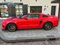 Ford Mustang USA 3.7 V6 GT, Shelby Uitvoering, Nw. Staat Rouge - thumbnail 3