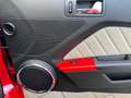 Ford Mustang USA 3.7 V6 GT, Shelby Uitvoering, Nw. Staat Rouge - thumbnail 18