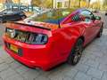 Ford Mustang USA 3.7 V6 GT, Shelby Uitvoering, Nw. Staat Rouge - thumbnail 6