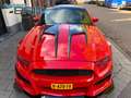 Ford Mustang USA 3.7 V6 GT, Shelby Uitvoering, Nw. Staat Rouge - thumbnail 8