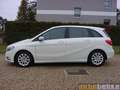 Mercedes-Benz B 180 BE NAVI,XEN,SHZ,KLIMA,BT,SICHT-P,MB-SH!!! Weiß - thumbnail 2